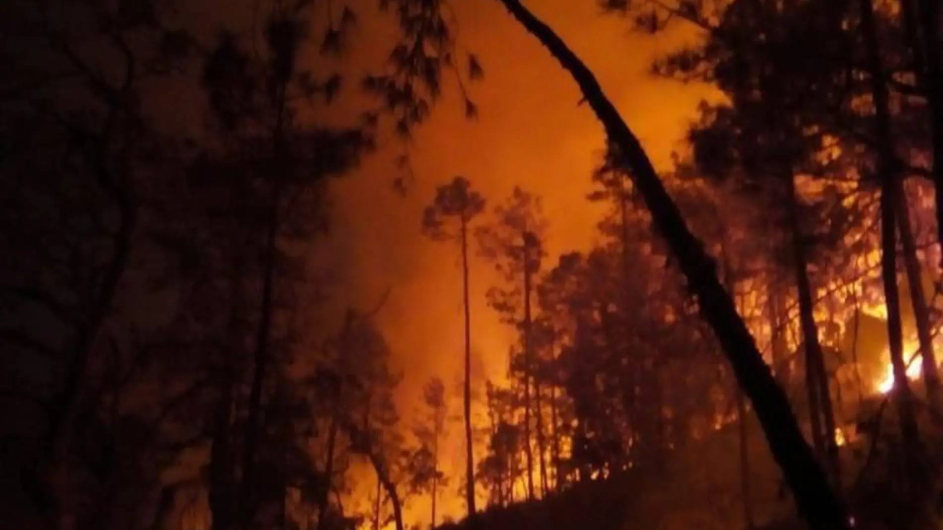 incendio forestal archivo